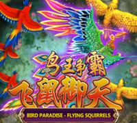 Bird Paradise
