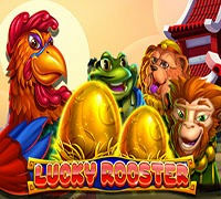 LUCKY ROOSTER